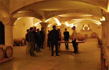 感受红酒浪漫——走进法国路易斯酒庄