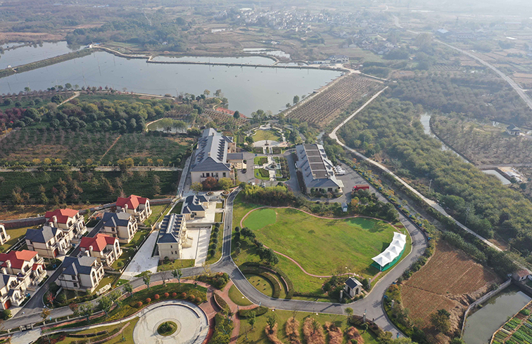 墨洋国际，十三年诠释用心选好酒