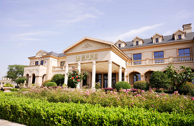 徜徉墨洋酒庄,品味生活